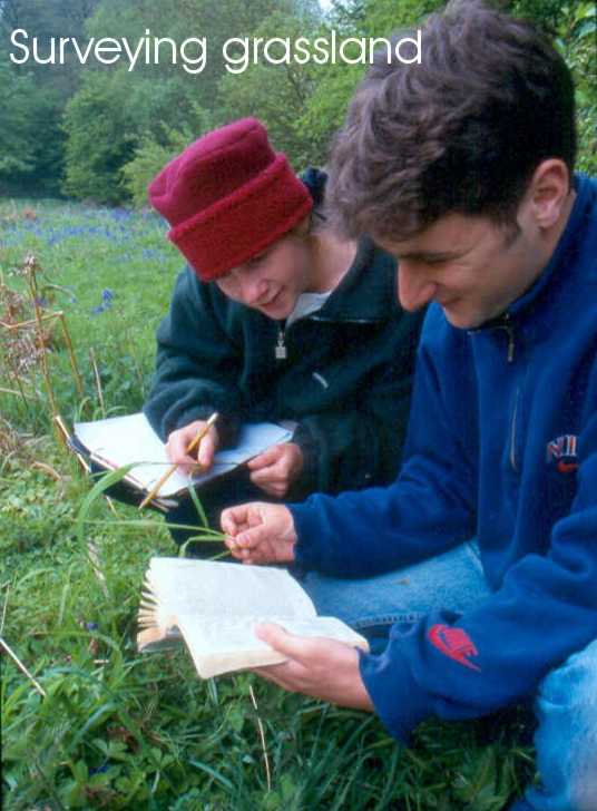 Surveying grassland